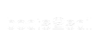 B2S_Logo_2024_weiß_250px